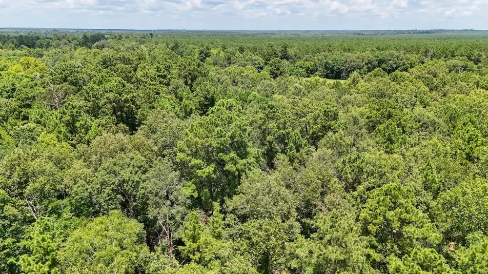 Fm 787 Cleveland, TX 77327