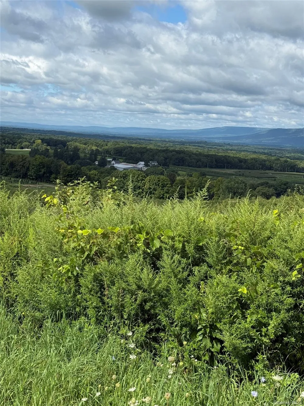 75 Palazzo Lane Highland, NY 12528