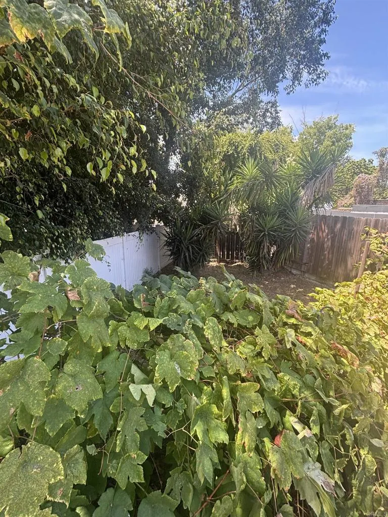 6114 Fenimore Way San Diego, CA 92120