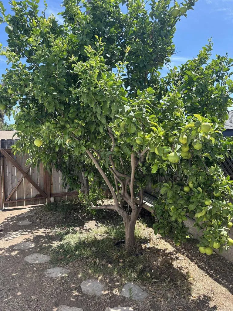 6114 Fenimore Way San Diego, CA 92120