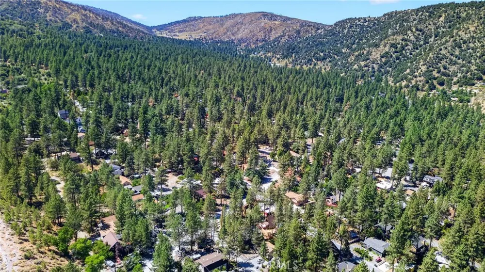1858 Thrush Wrightwood, CA 92397