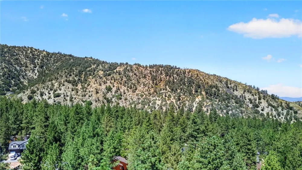 1858 Thrush Wrightwood, CA 92397