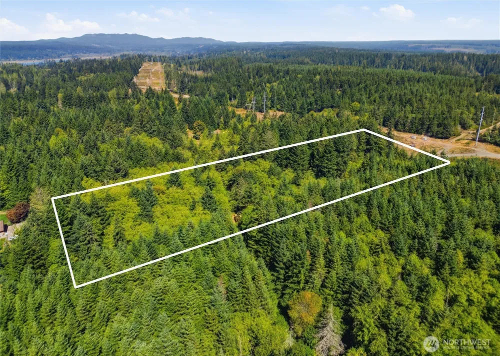 2041 E Rasor Rd Belfair, WA 98528