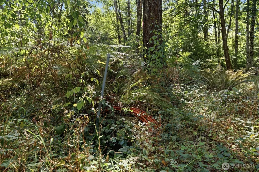 2041 E Rasor Rd Belfair, WA 98528