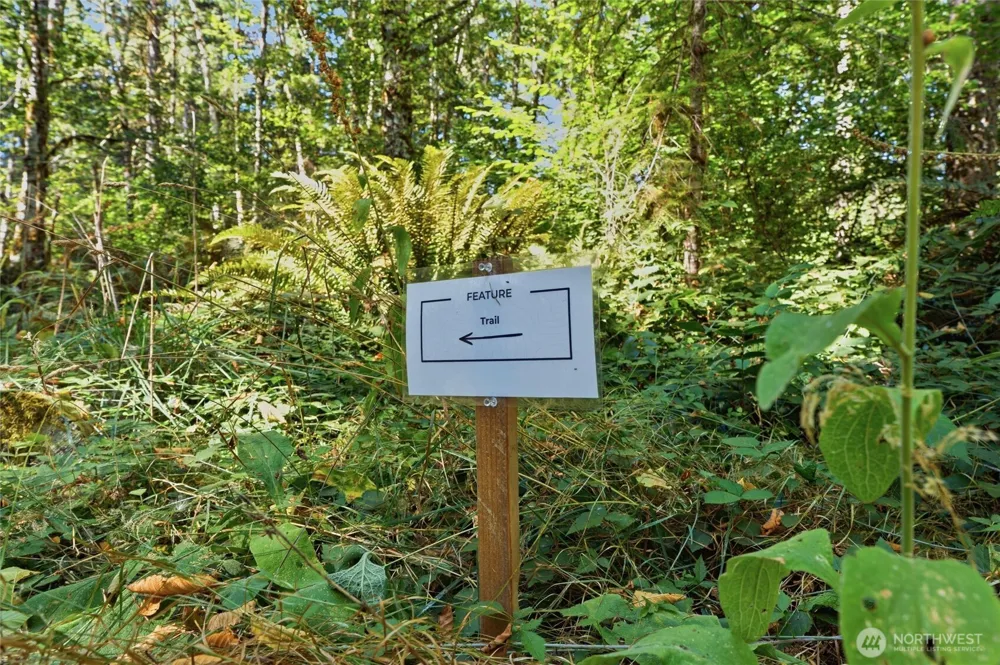 2041 E Rasor Rd Belfair, WA 98528