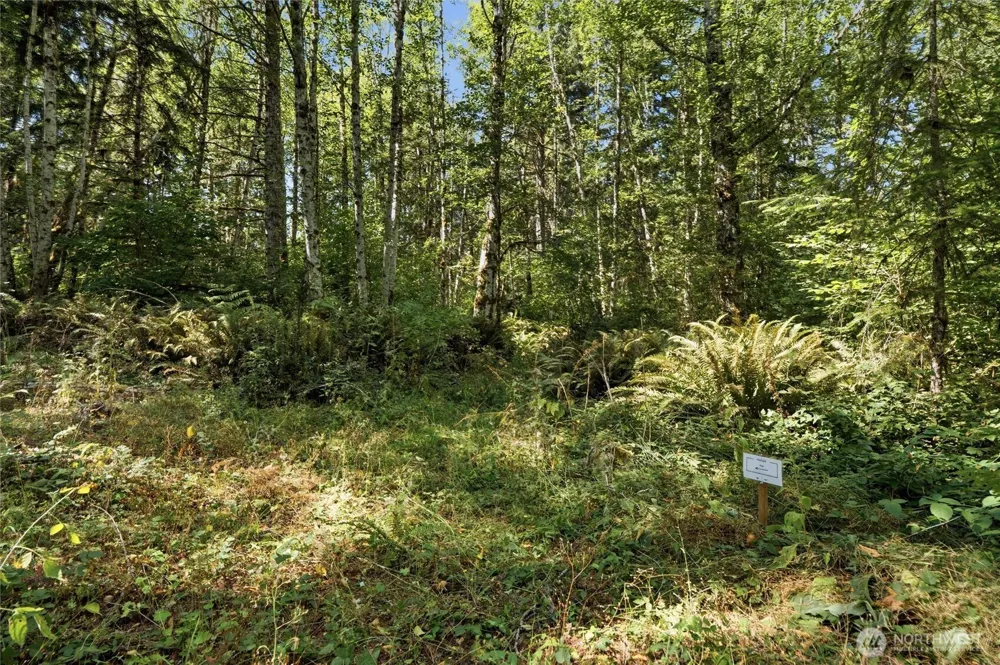 2041 E Rasor Rd Belfair, WA 98528