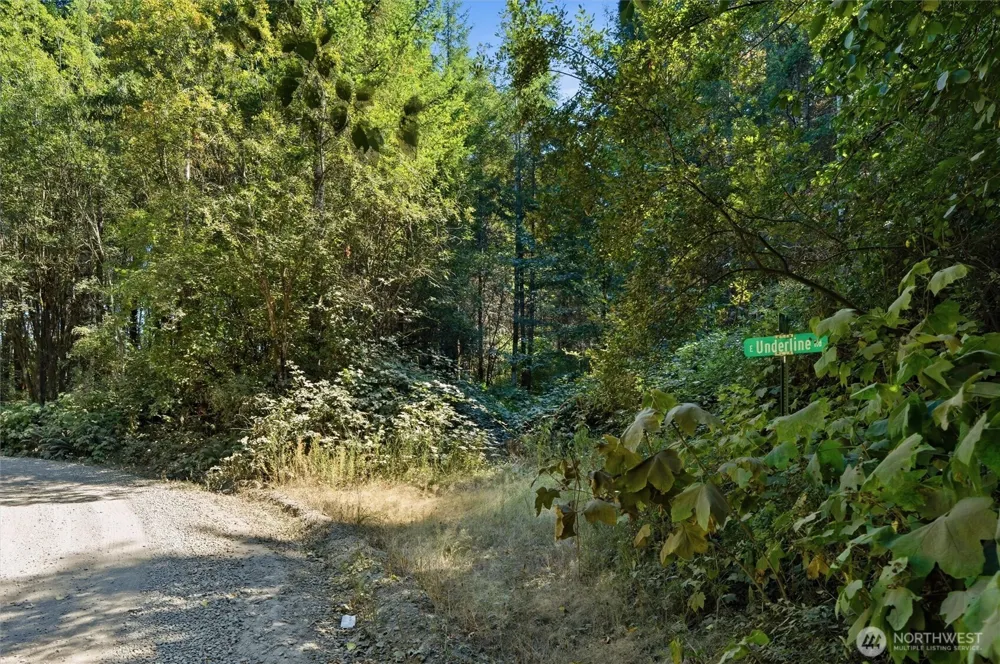 2041 E Rasor Rd Belfair, WA 98528