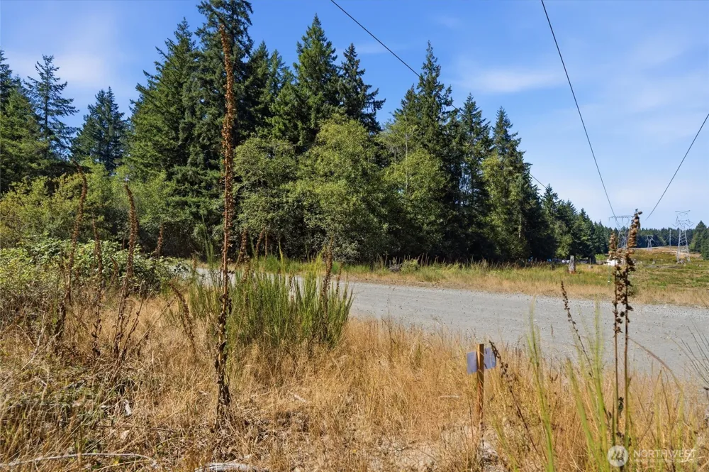 2041 E Rasor Rd Belfair, WA 98528