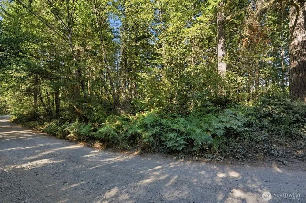 2041 E Rasor Rd Belfair, WA 98528