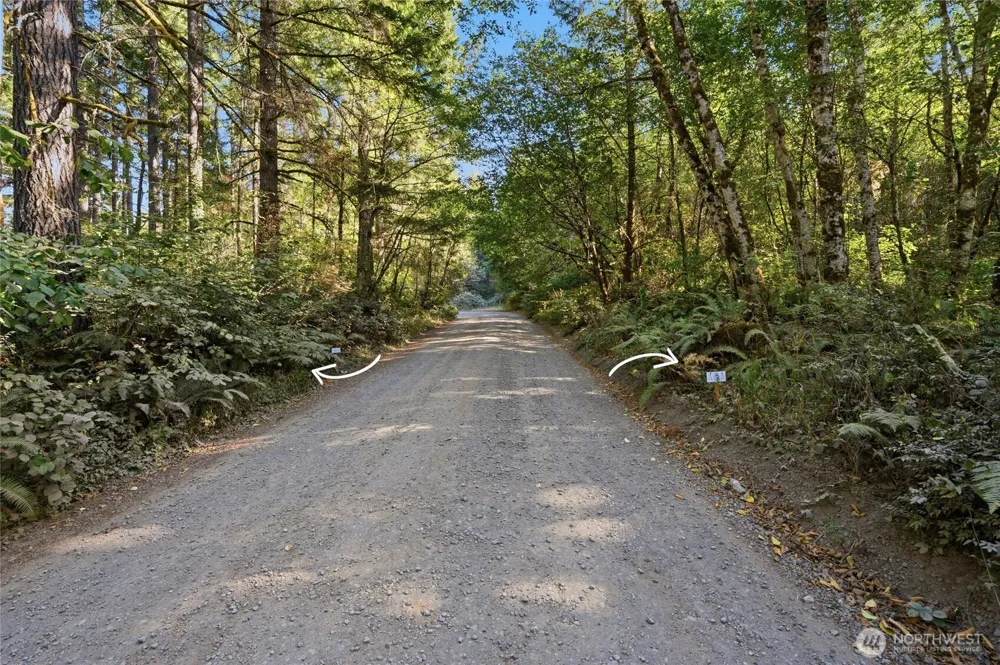 2041 E Rasor Rd Belfair, WA 98528