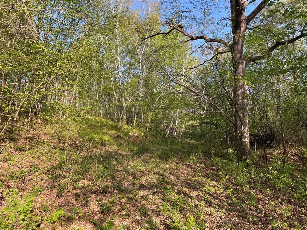 TBD 115th Street Amery, WI 54001