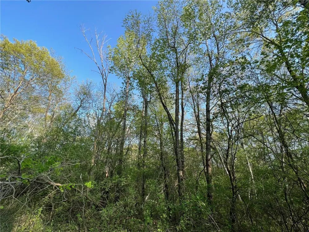 TBD 115th Street Amery, WI 54001