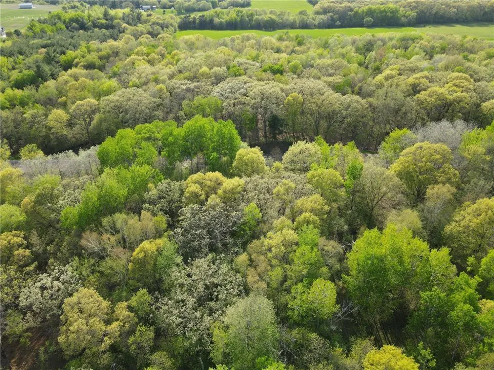 TBD 115th Street Amery, WI 54001