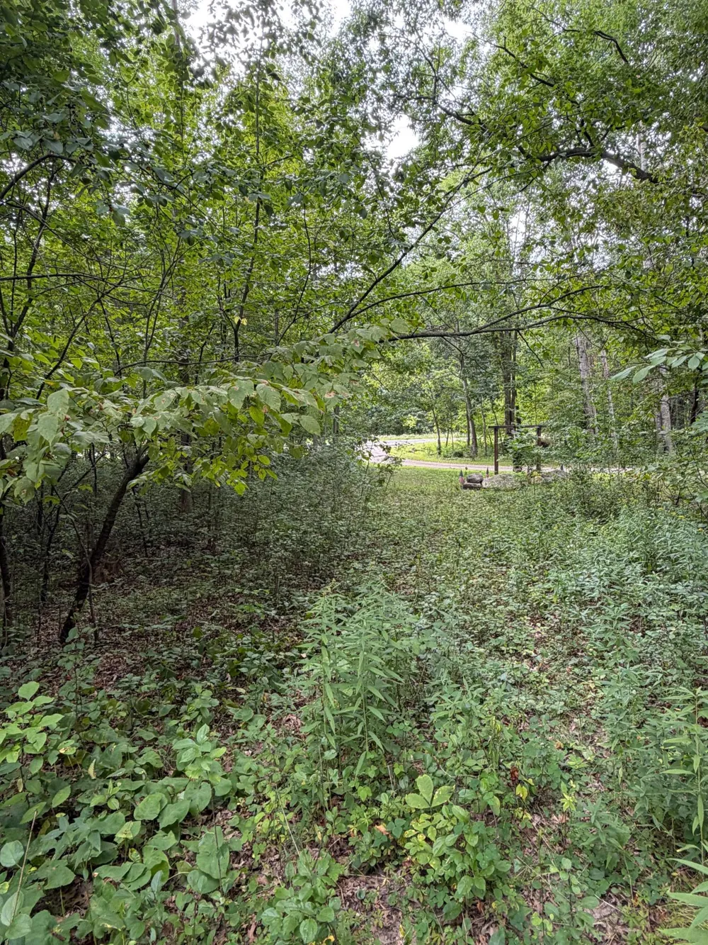 TBD 115th Street Amery, WI 54001