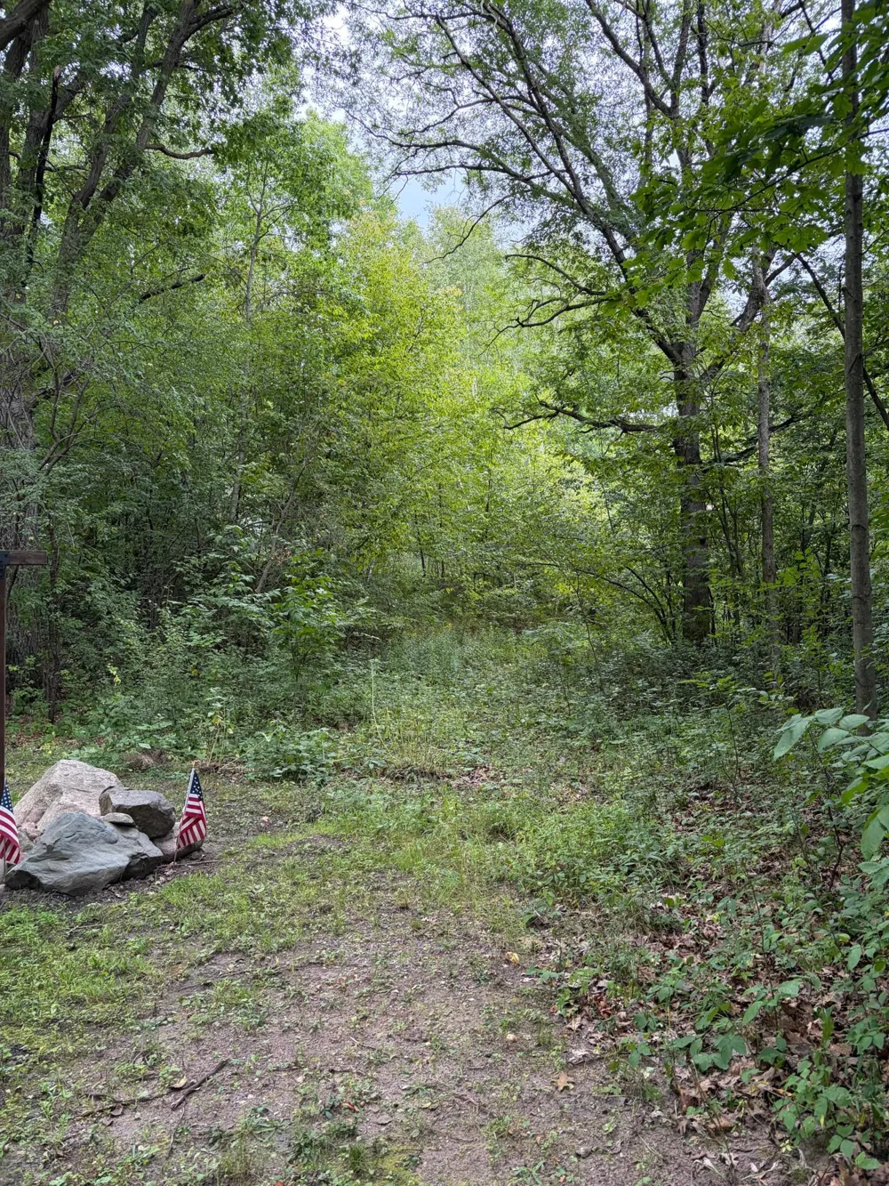 TBD 115th Street Amery, WI 54001