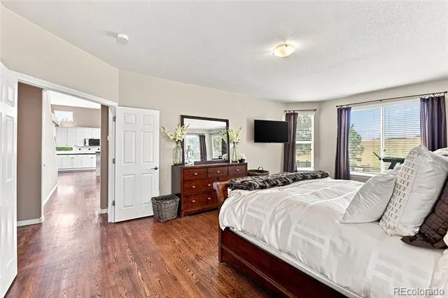 6072 Vacquero Drive Castle Rock, CO 80108