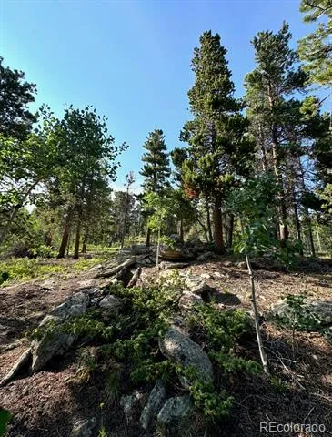 221 Timber Drive Black Hawk, CO 80422
