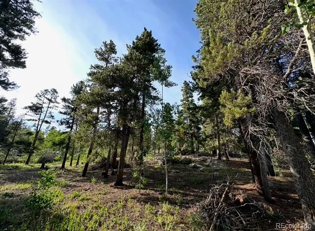 221 Timber Drive Black Hawk, CO 80422