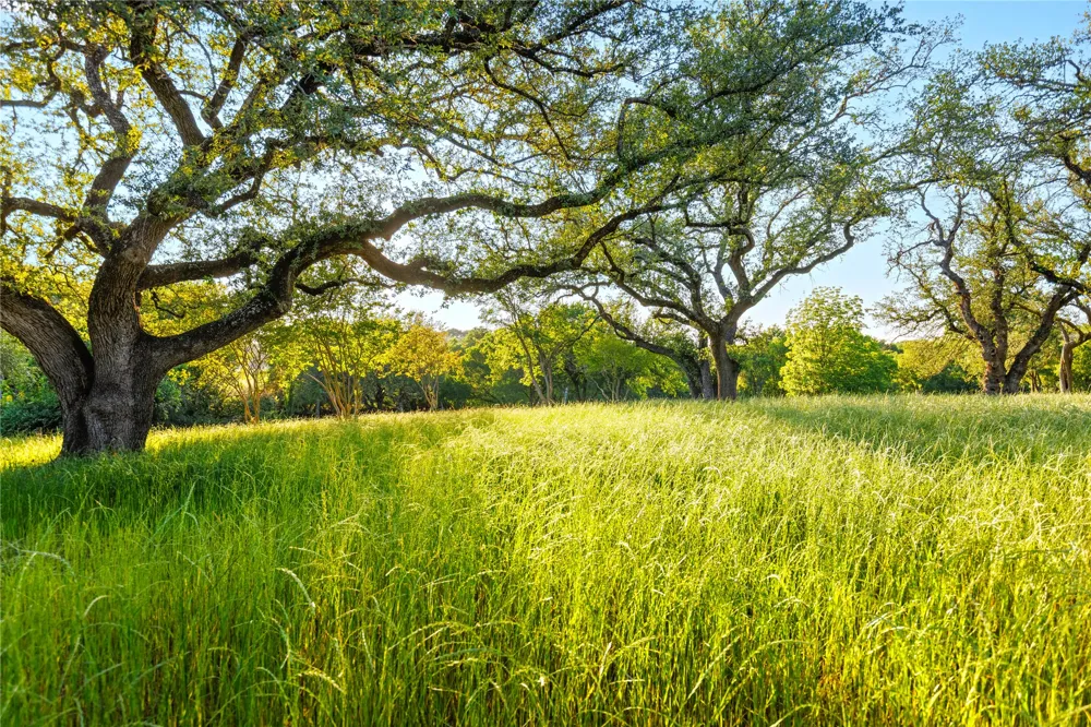 962 Clover Ridge Waco, TX 76657