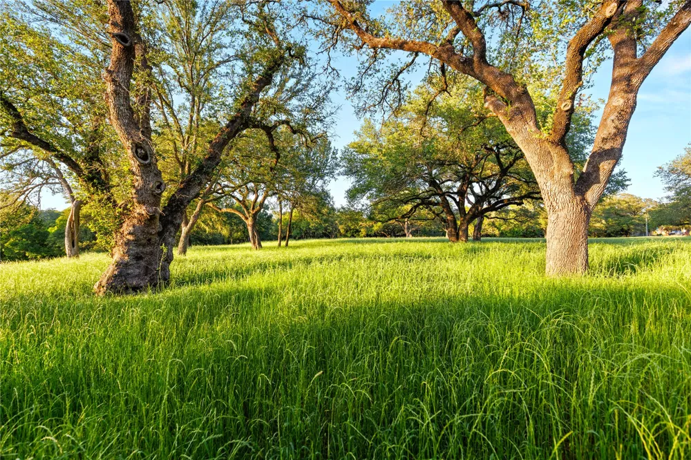 962 Clover Ridge Waco, TX 76657