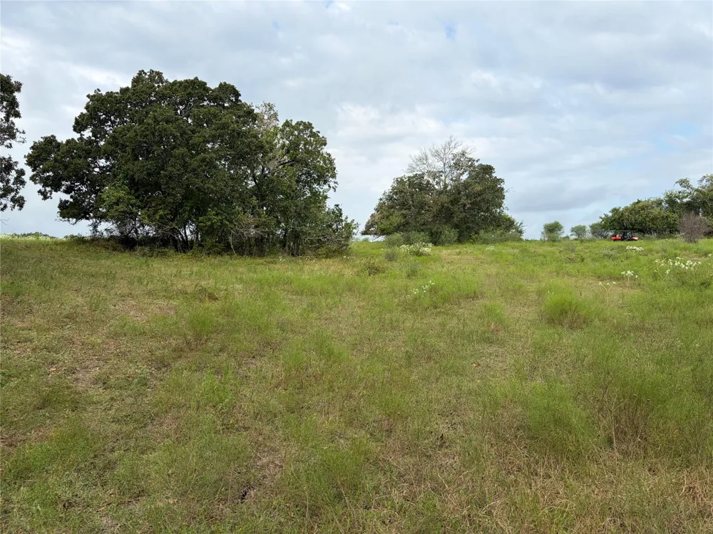 13030 County Road 446 Navasota, TX 77868