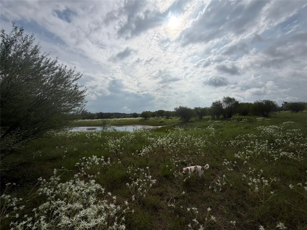 13030 County Road 446 Navasota, TX 77868
