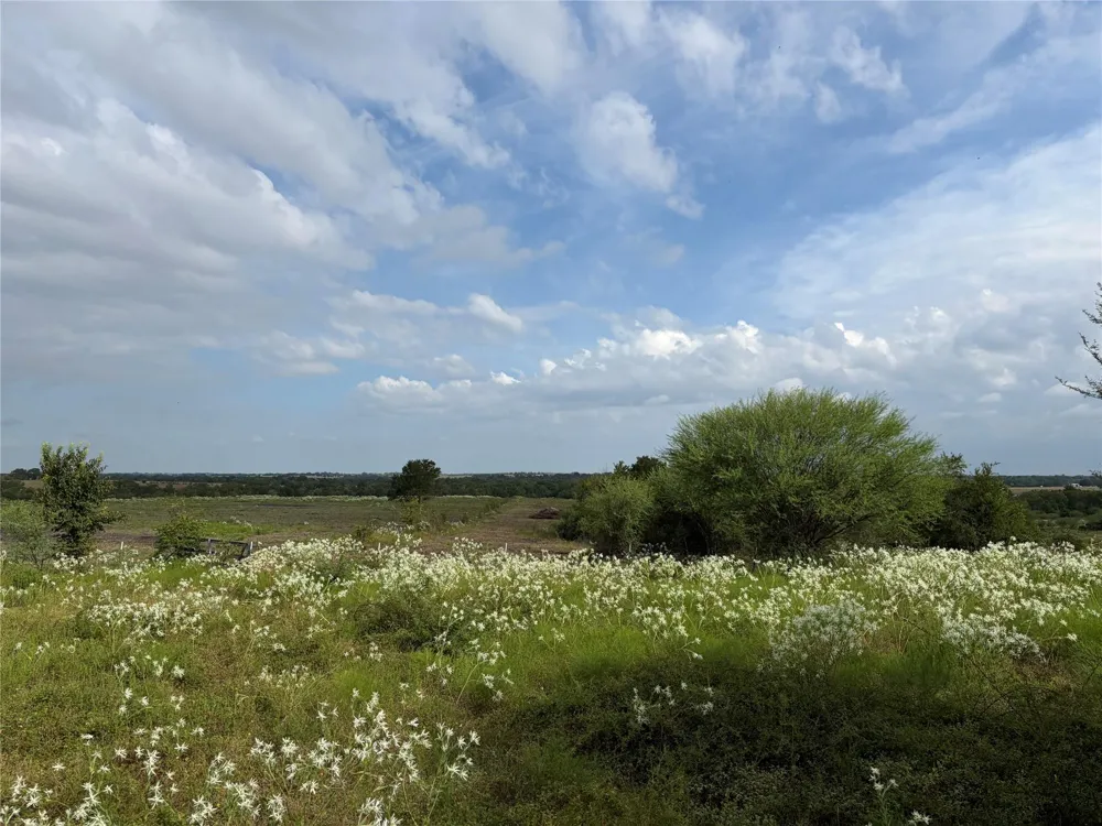 13030 County Road 446 Navasota, TX 77868