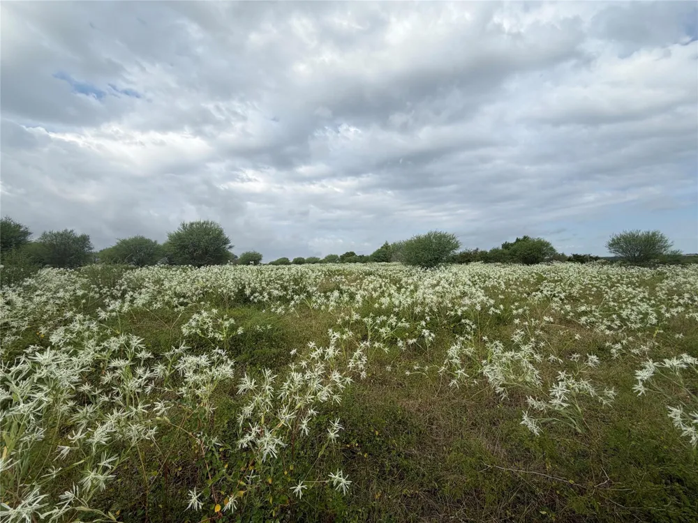 13030 County Road 446 Navasota, TX 77868