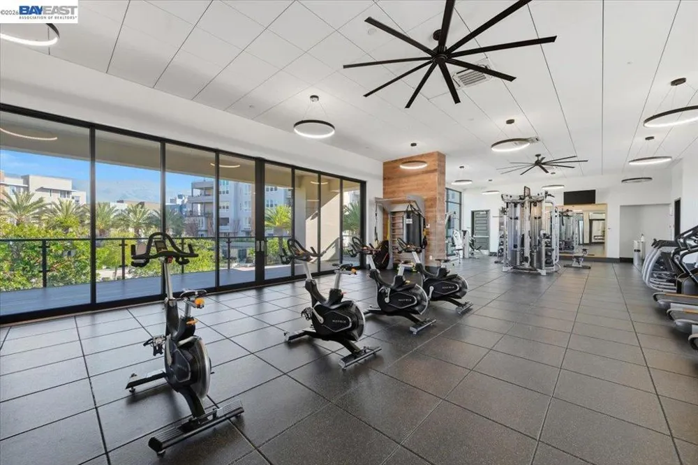 45128 Warm Springs Blvd #455 Fremont, CA 94539