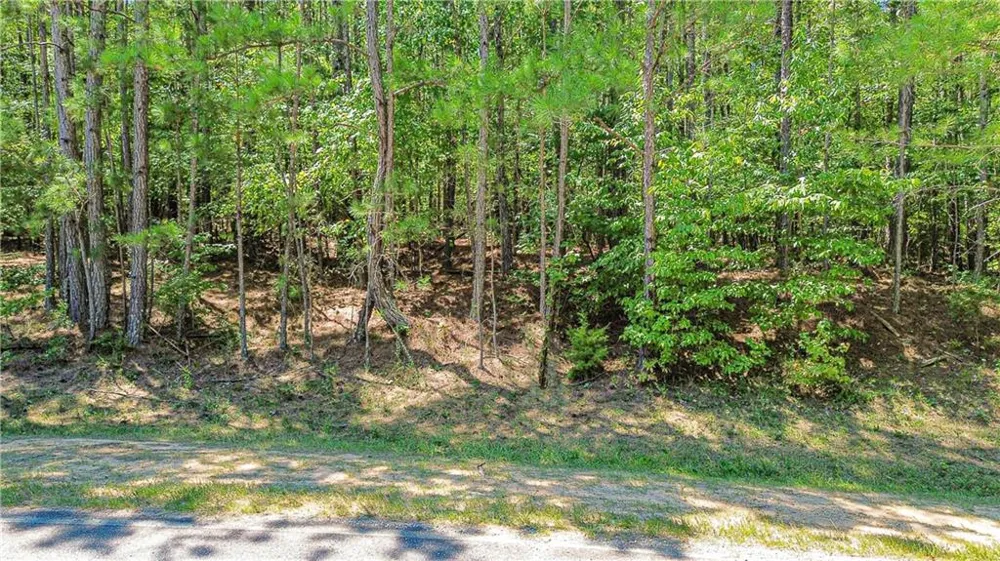 288 Pope Trail Covington, GA 30014