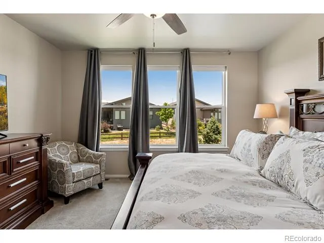 2703 Vallecito Street Timnath, CO 80547
