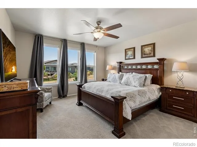 2703 Vallecito Street Timnath, CO 80547