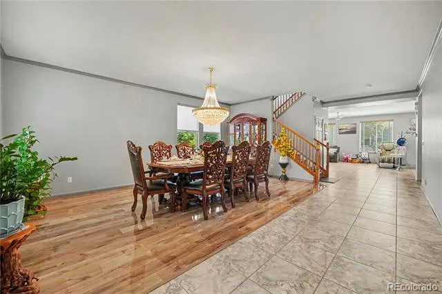 9204 W Radcliffe Place Littleton, CO 80123