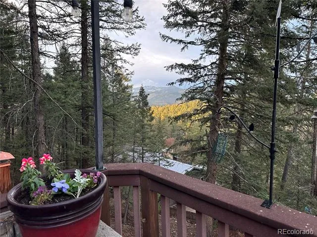 30282 Pine Crest Drive Evergreen, CO 80439