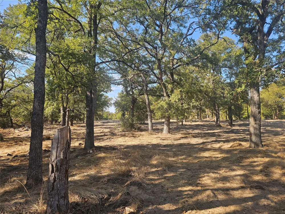 1680 Rhonda B Road Reno, TX 76020