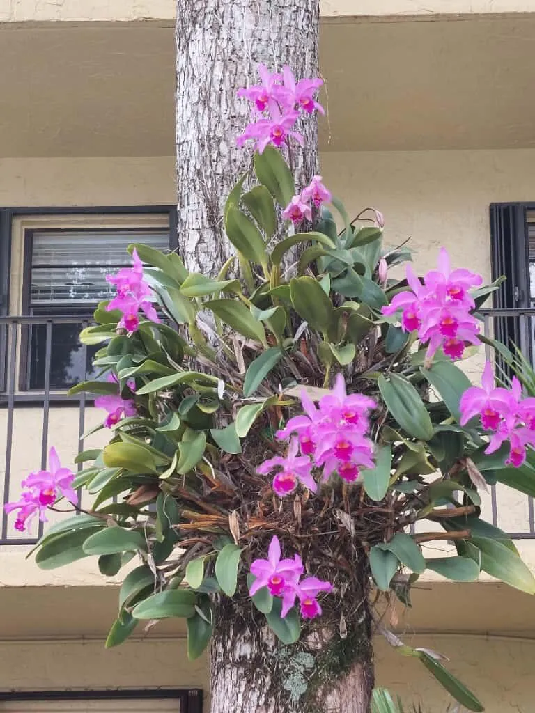 367 S Federal Highway #A209 Deerfield Beach, FL 33441