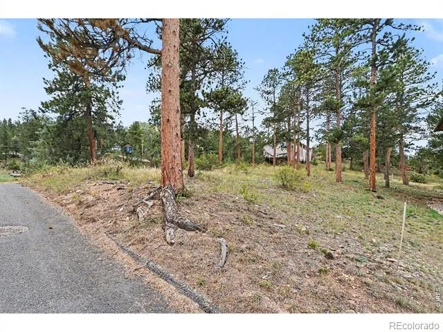 0 Landers Street Estes Park, CO 80517