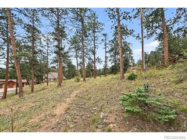 0 Landers Street Estes Park, CO 80517
