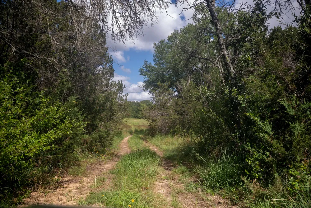 1100 cr 2440 Street Iredell, TX 76649