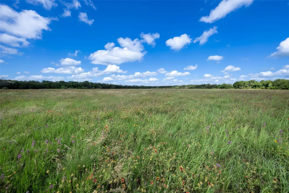 1100 cr 2440 Street Iredell, TX 76649