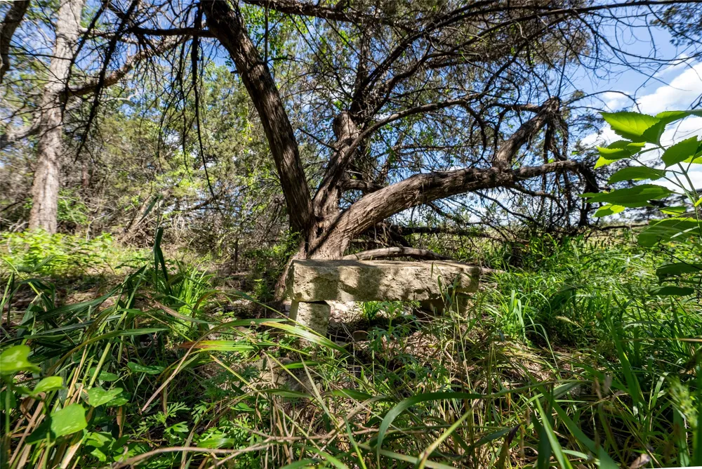 1100 cr 2440 Street Iredell, TX 76649