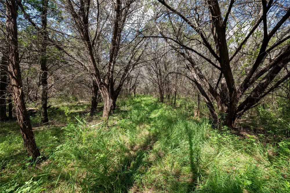 1100 cr 2440 Street Iredell, TX 76649