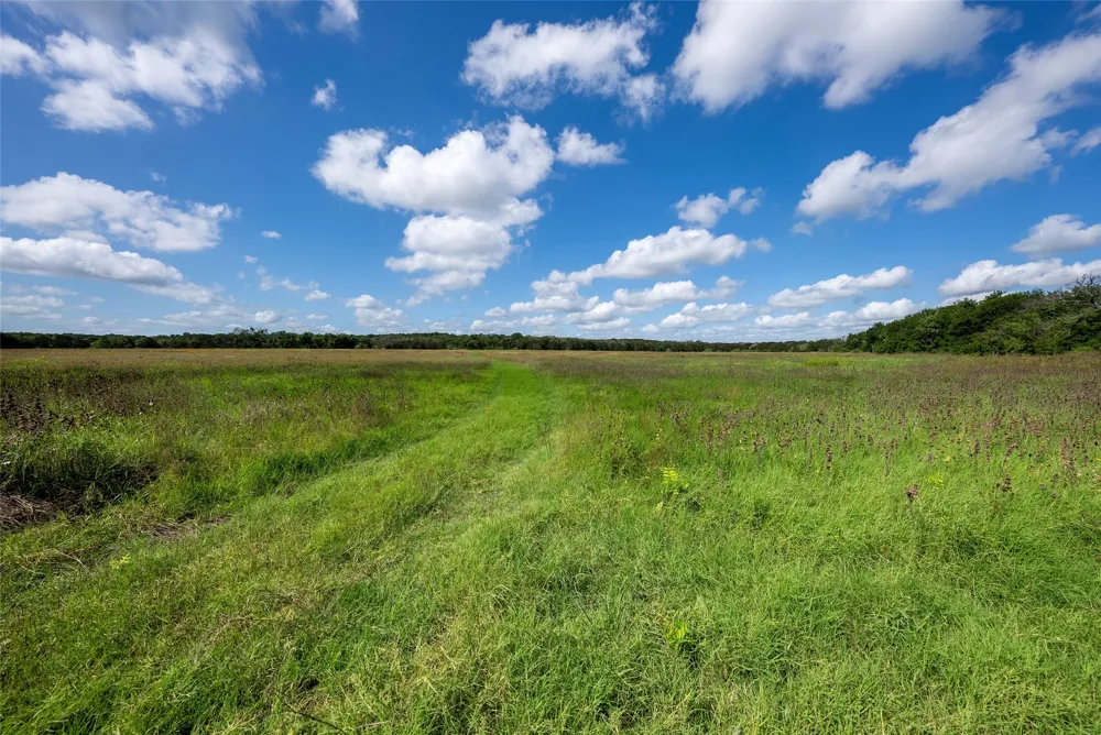 1100 cr 2440 Street Iredell, TX 76649