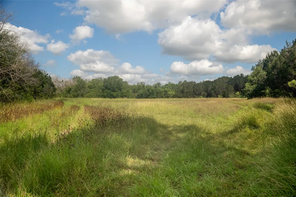 1100 cr 2440 Street Iredell, TX 76649
