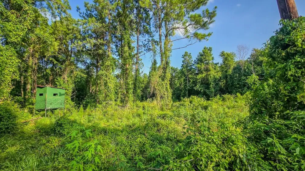 Fm 787 Cleveland, TX 77327