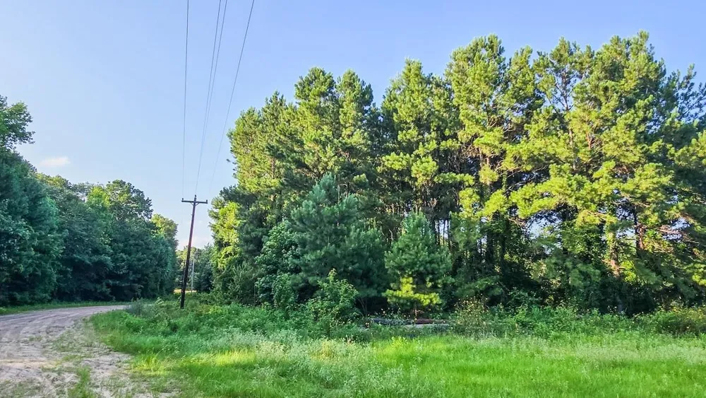 Fm 787 Cleveland, TX 77327