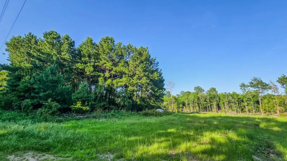Fm 787 Cleveland, TX 77327