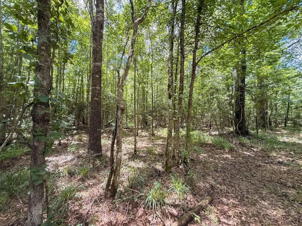 Fm 787 Cleveland, TX 77327