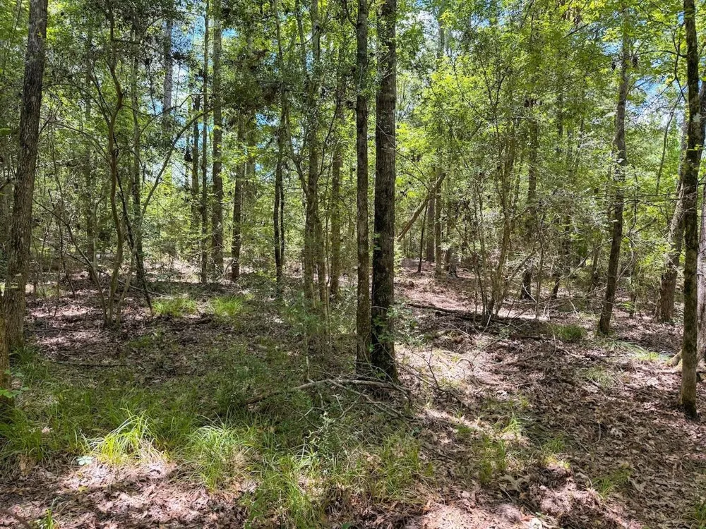 Fm 787 Cleveland, TX 77327