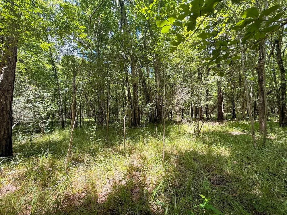 Fm 787 Cleveland, TX 77327